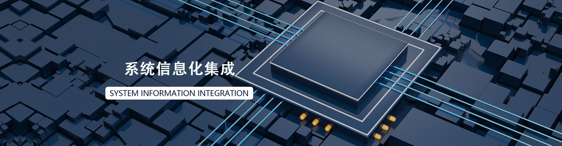系統信息集成化
